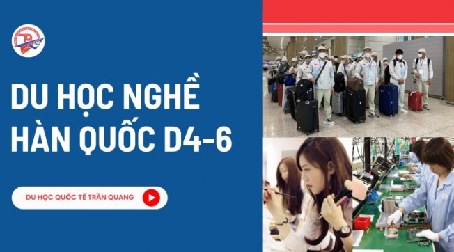 Du học nghề Hàn Quốc D4-6 là gì? Cơ hội học nhanh – làm sớm tại Hàn Quốc